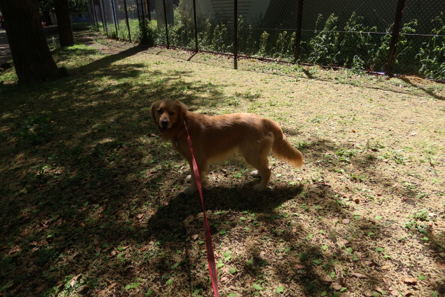 ファイル 7985-4.jpg