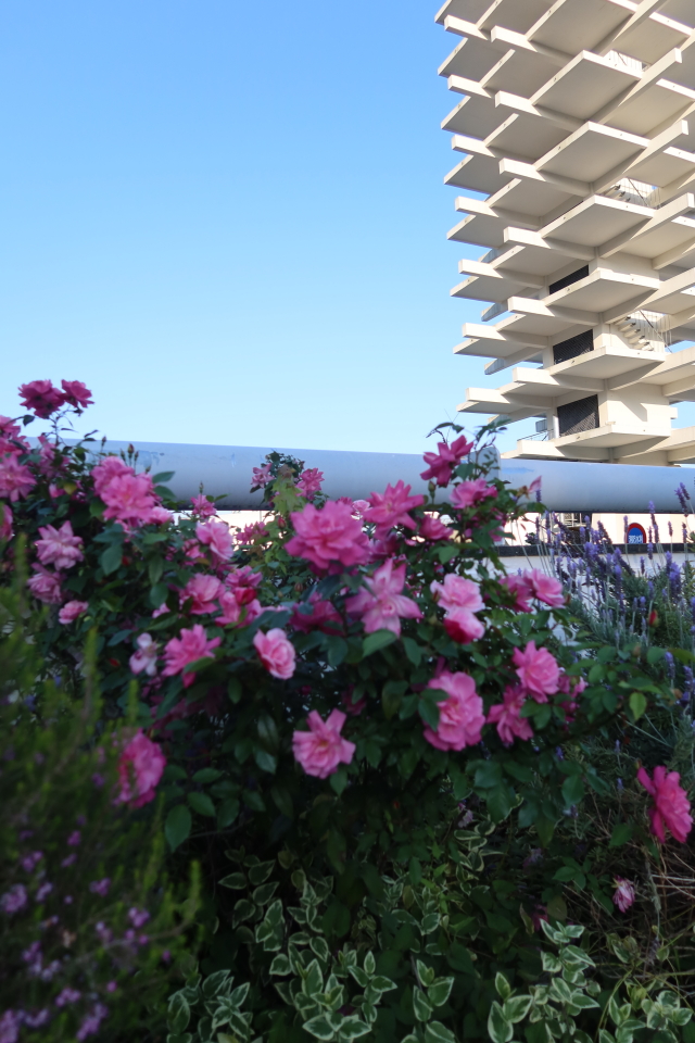 ファイル 7989-5.jpg