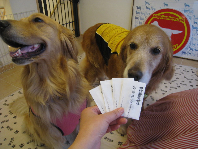 ファイル 799-1.jpg