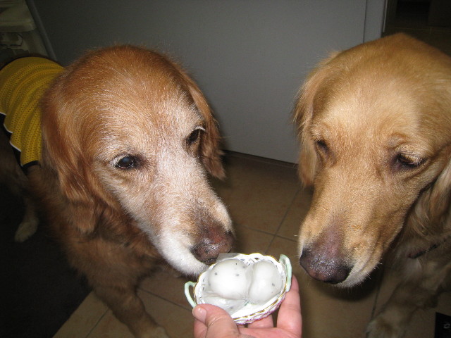 ファイル 799-5.jpg