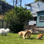 ファイル 7990-4.jpeg