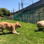 ファイル 7990-5.jpeg