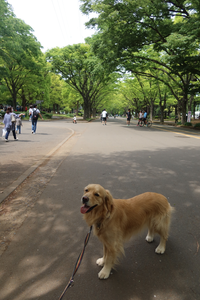 ファイル 7992-1.jpg