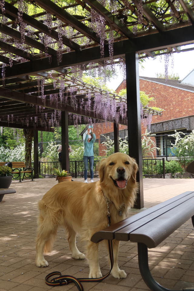 ファイル 7992-3.jpg