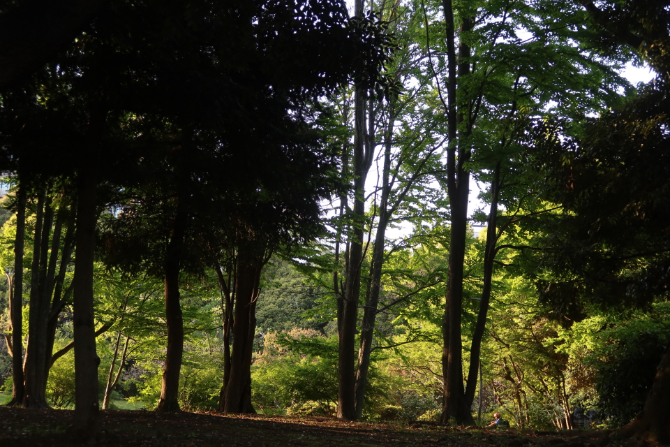 ファイル 7993-3.jpg