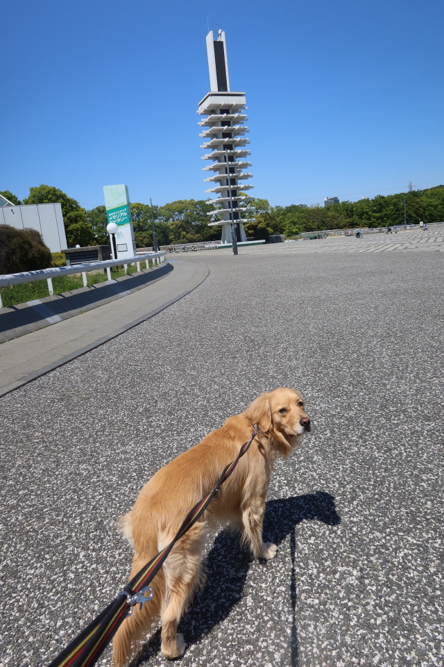 ファイル 7996-2.jpg