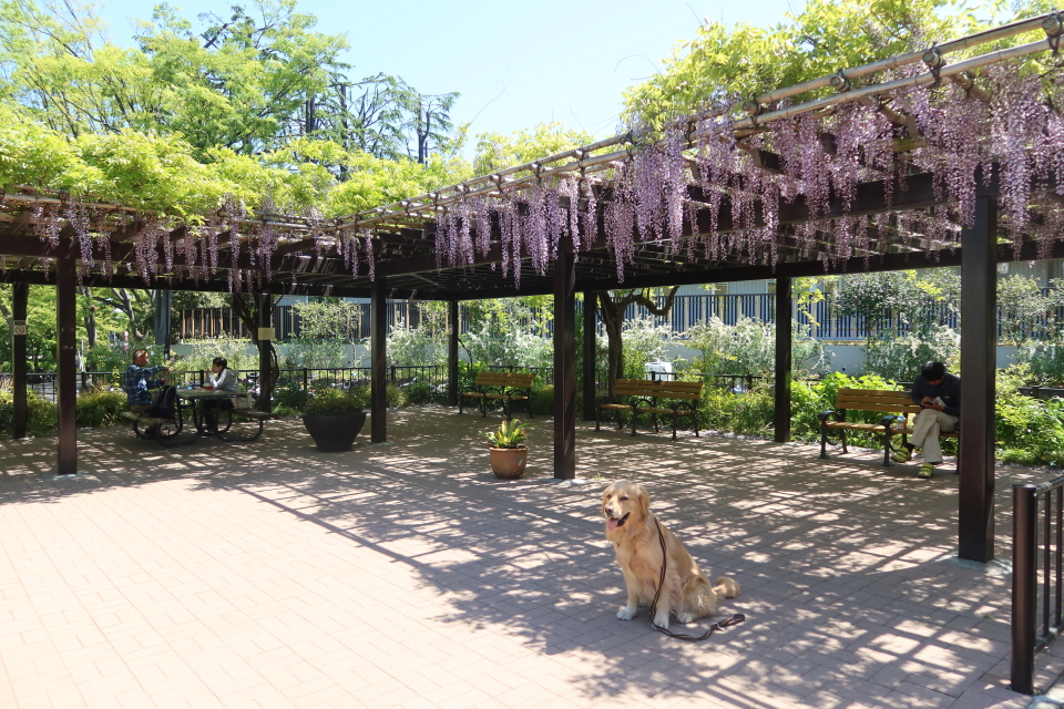 ファイル 7996-3.jpg