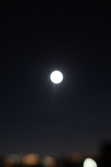 ファイル 7997-4.jpg