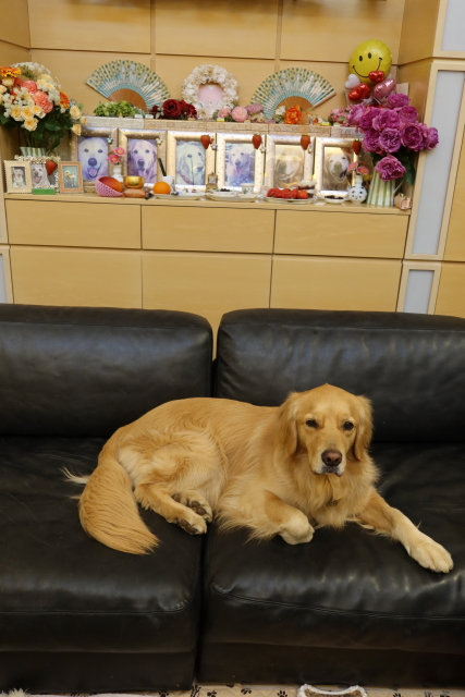 ファイル 7997-5.jpg