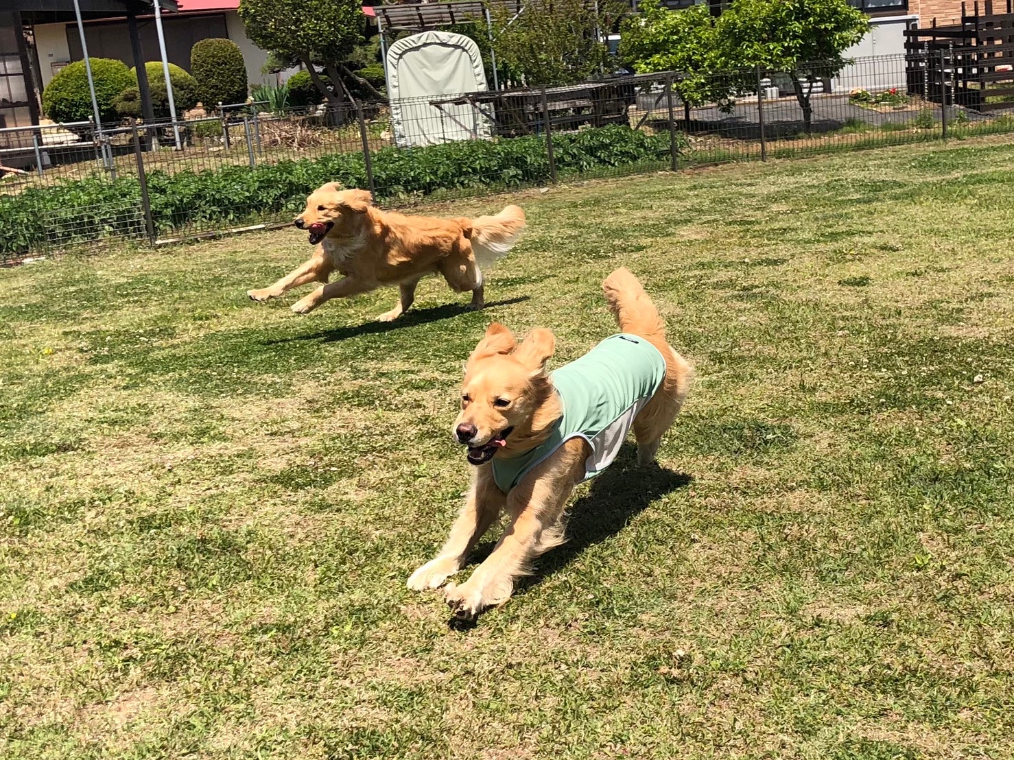 ファイル 7998-2.jpeg