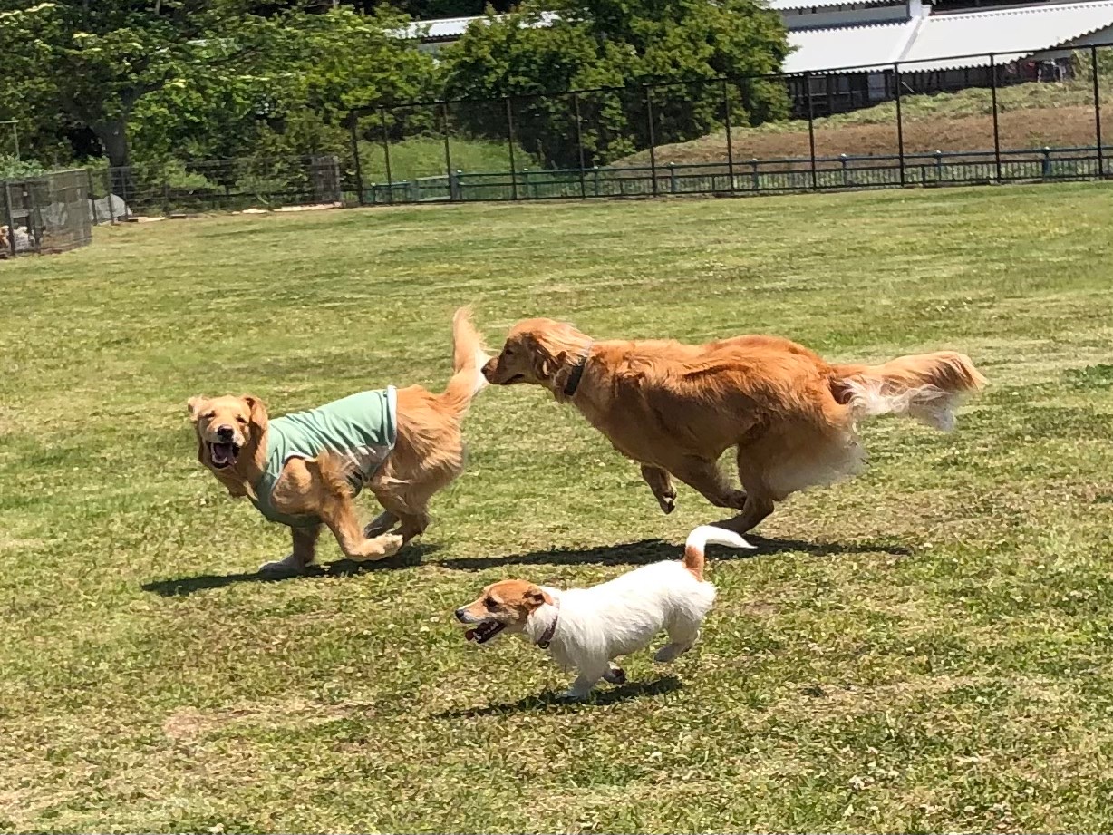 ファイル 7998-3.jpeg