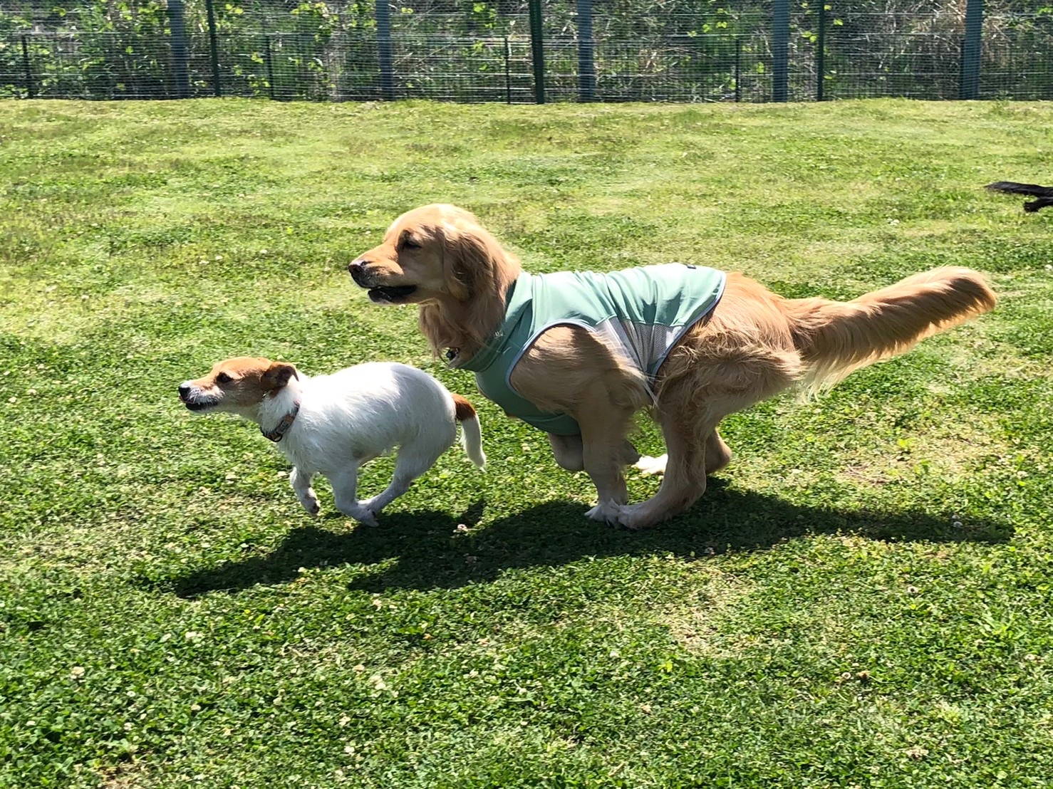 ファイル 7998-4.jpeg