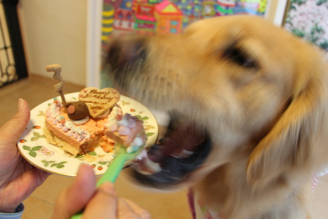 ファイル 7999-5.jpg