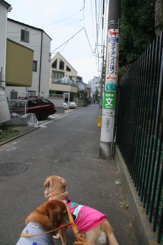 ファイル 80-2.jpg