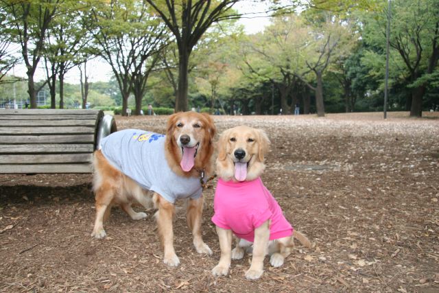 ファイル 80-5.jpg