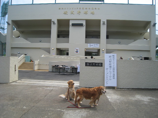 ファイル 800-2.jpg