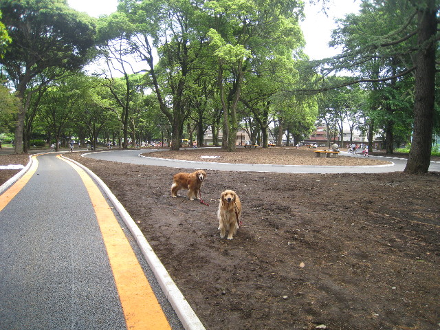 ファイル 800-3.jpg