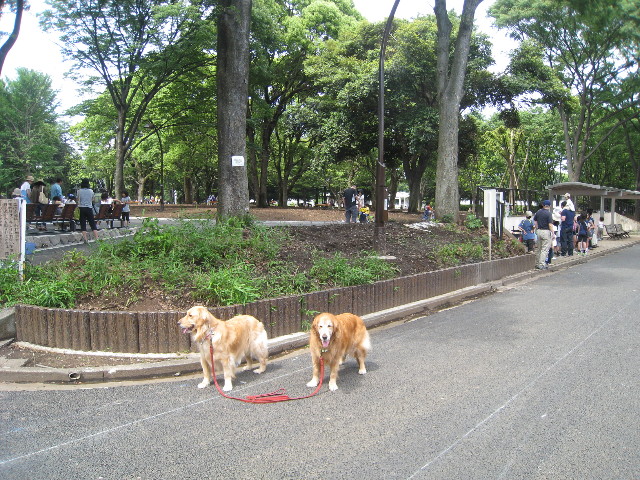 ファイル 800-4.jpg