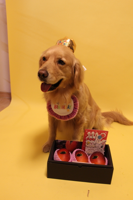 ファイル 8000-1.jpg