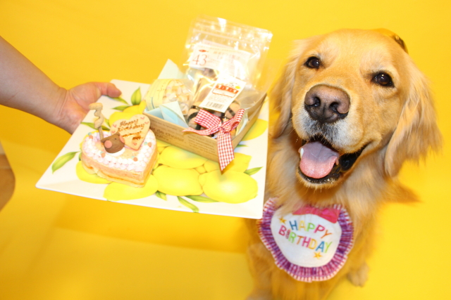 ファイル 8000-4.jpg