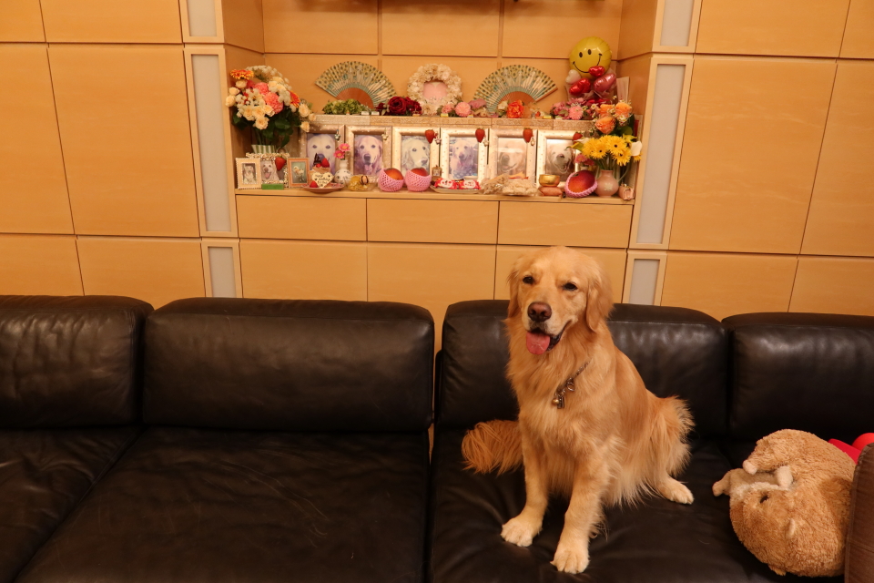 ファイル 8001-3.jpg