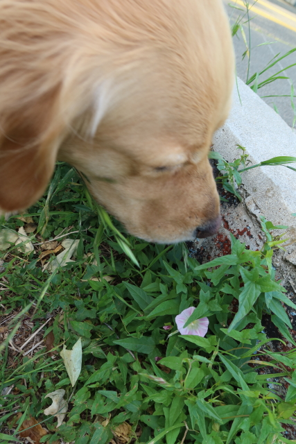 ファイル 8004-5.jpg