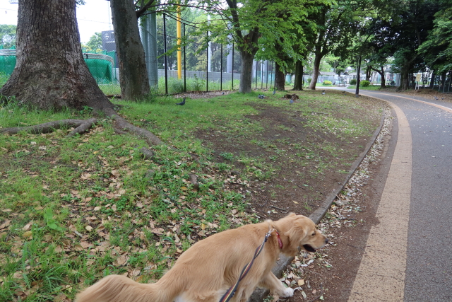 ファイル 8006-5.jpg