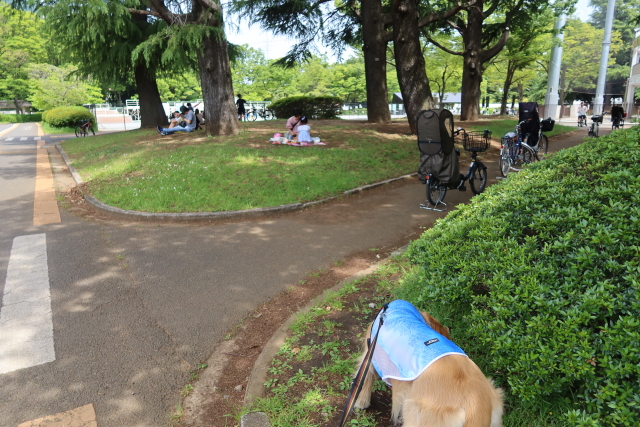 ファイル 8008-3.jpg