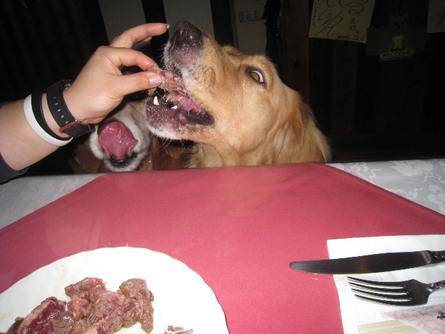 ファイル 801-5.jpg