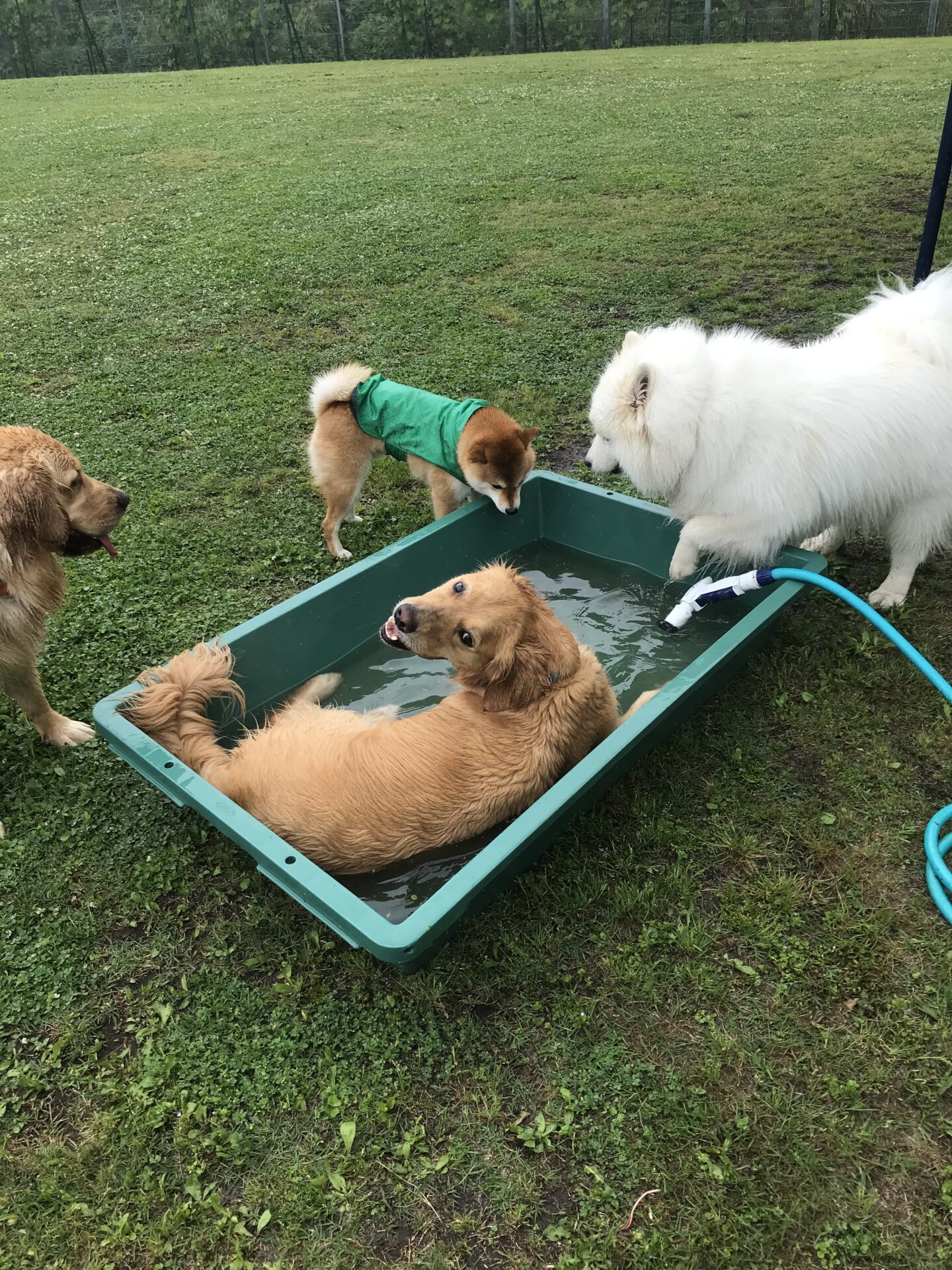 ファイル 8010-3.jpeg