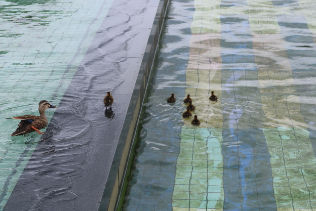 ファイル 8012-4.jpg