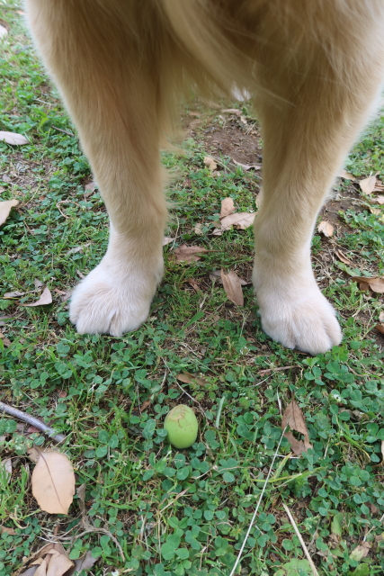 ファイル 8013-3.jpg