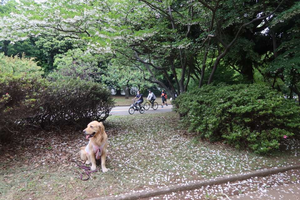 ファイル 8013-4.jpg