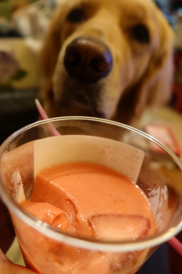 ファイル 8014-2.jpg