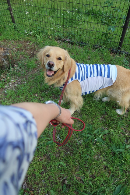 ファイル 8015-1.jpg