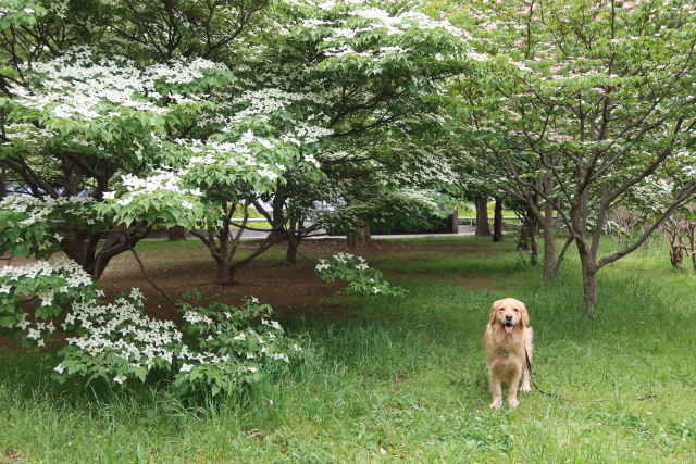 ファイル 8016-3.jpg