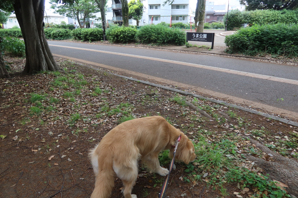 ファイル 8018-4.jpg