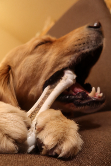 ファイル 8019-5.jpg