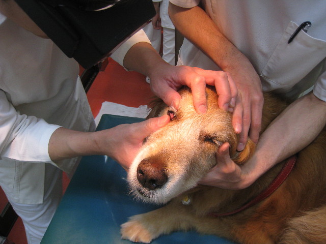 ファイル 802-3.jpg