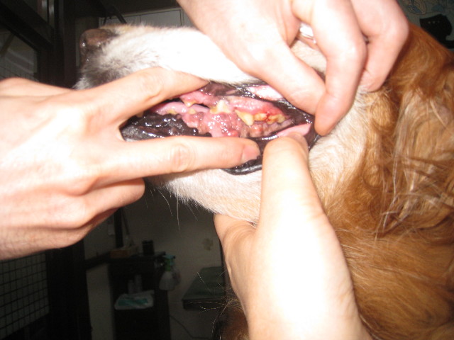 ファイル 802-4.jpg