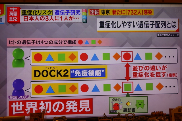 ファイル 8021-2.jpg