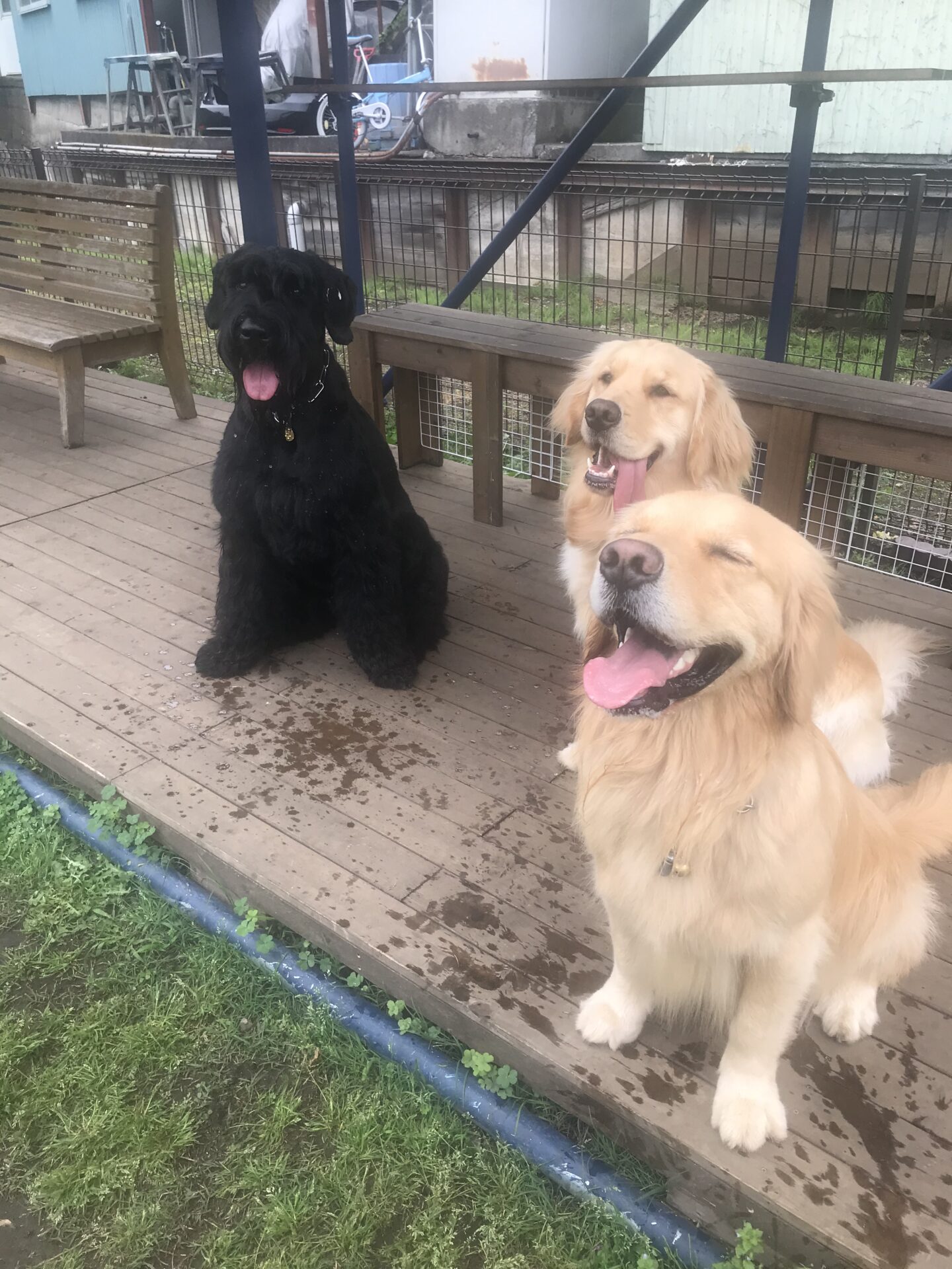 ファイル 8022-1.jpeg