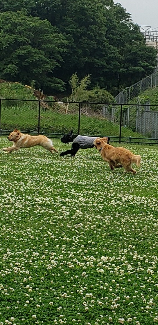 ファイル 8022-4.jpeg