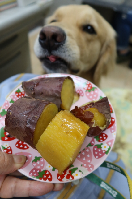 ファイル 8024-2.jpg