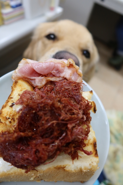 ファイル 8024-4.jpg