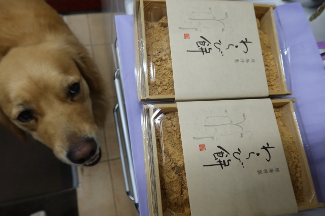 ファイル 8024-5.jpg