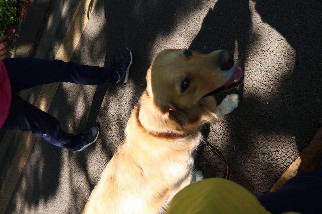 ファイル 8025-3.jpg