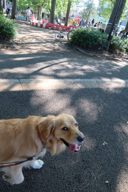 ファイル 8025-5.jpg