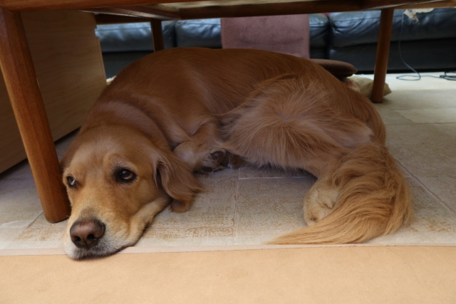 ファイル 8026-3.jpg