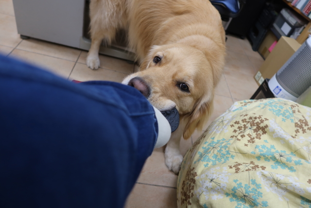 ファイル 8026-4.jpg